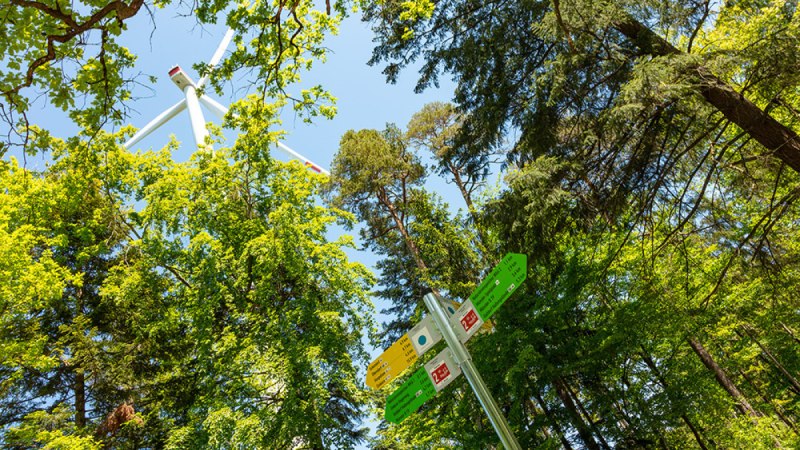 Symbolbild Wanderweg mit Windrad und Hauptwegweiser