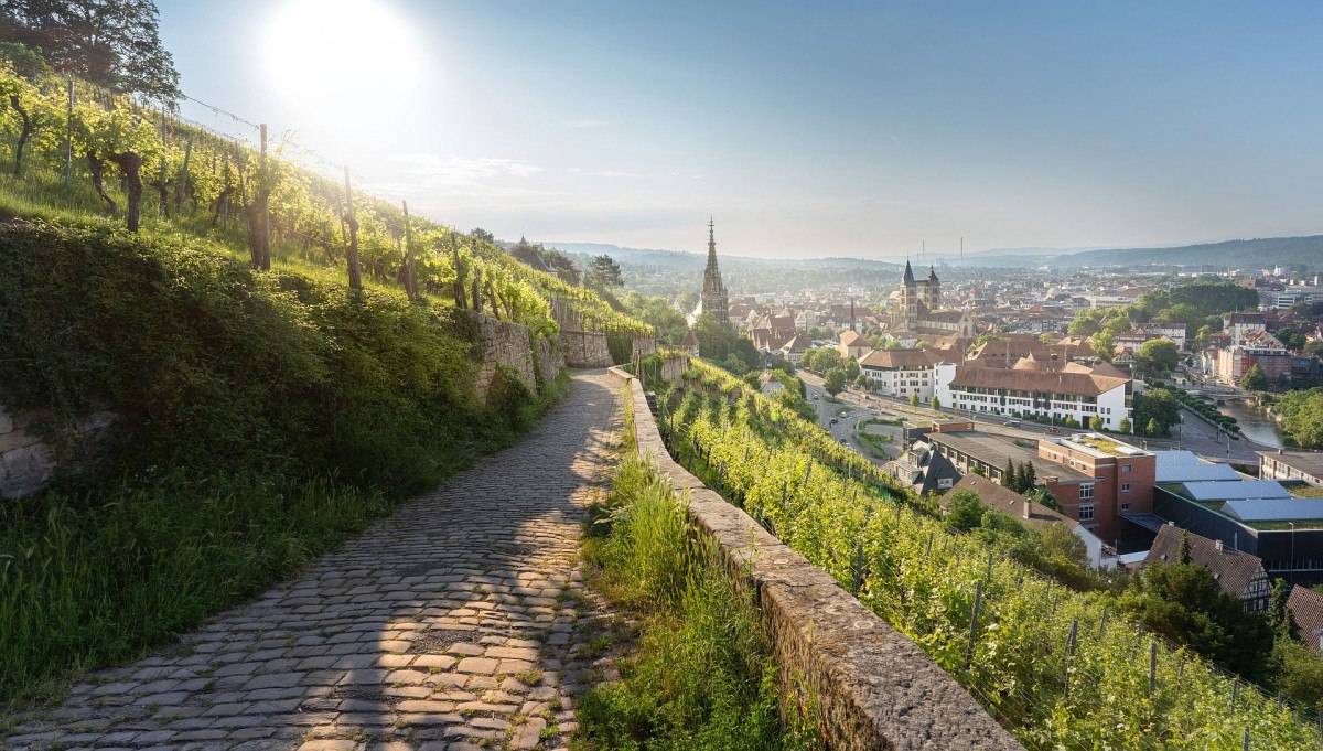 Blick aus den Weinbergen in die Stadt frühmorgens, © Jean-Claude Winkler