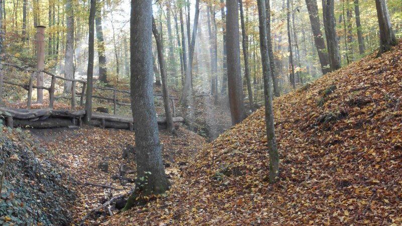 Wanderung im Aichenbachtal