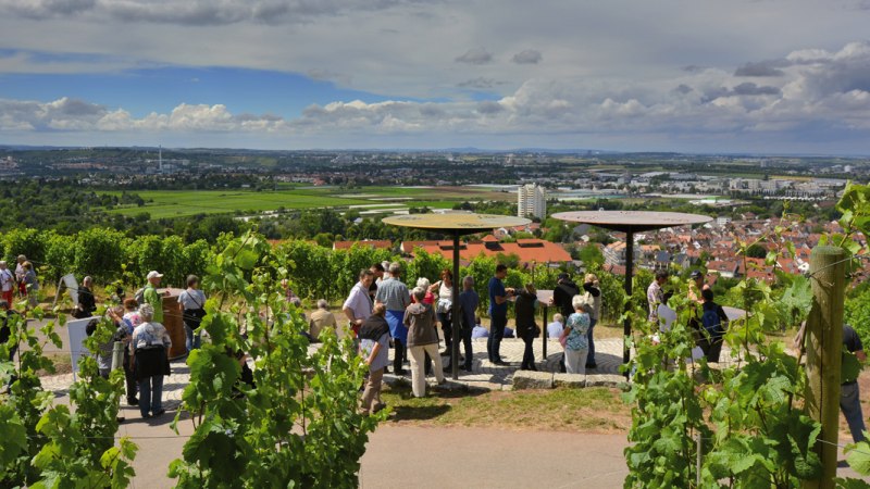 Panorama-Terrasse Fellbach, © Simone Mathias