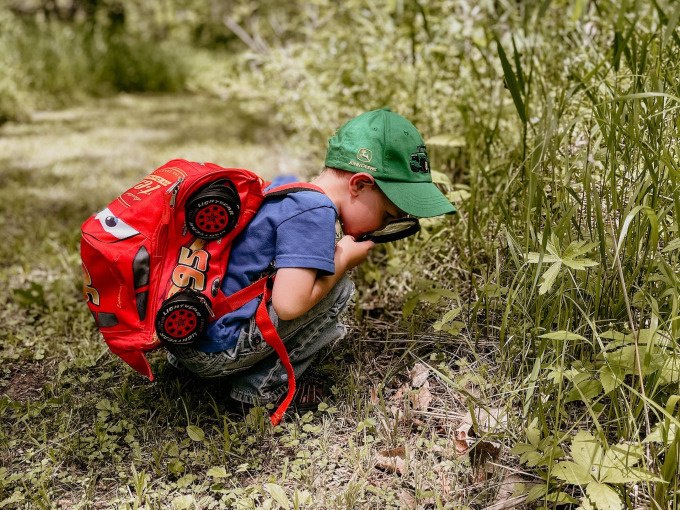 Kinderführung: Abenteuer Streuobstwiese, © Stadt Nürtingen