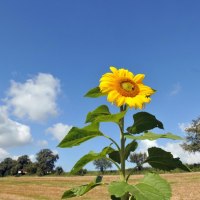 Sonne und Natur genießen, © Landratsamt Göppingen