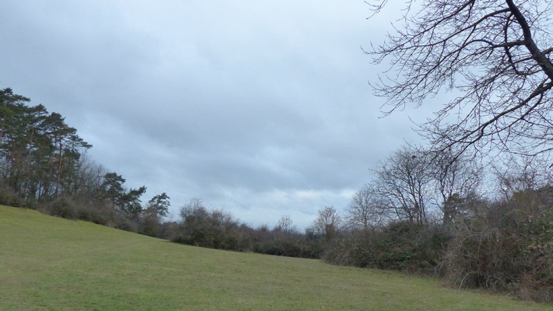 Gerlinger Heide, © Stadt Gerlingen