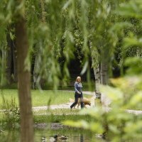 Schlossgarten Stuttgart, © Stuttgart-Marketing GmbH, Christoph Düpper