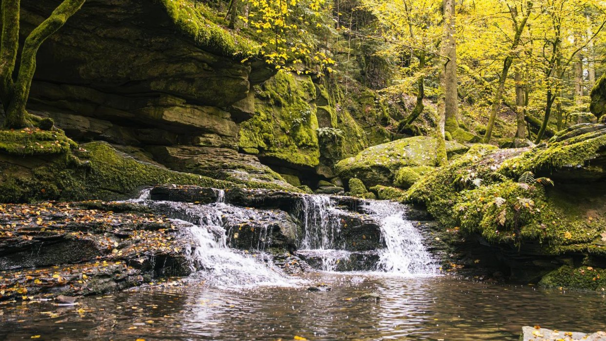 Monbachtal, Bad Liebenzell, © SMG, Sarah Schmid