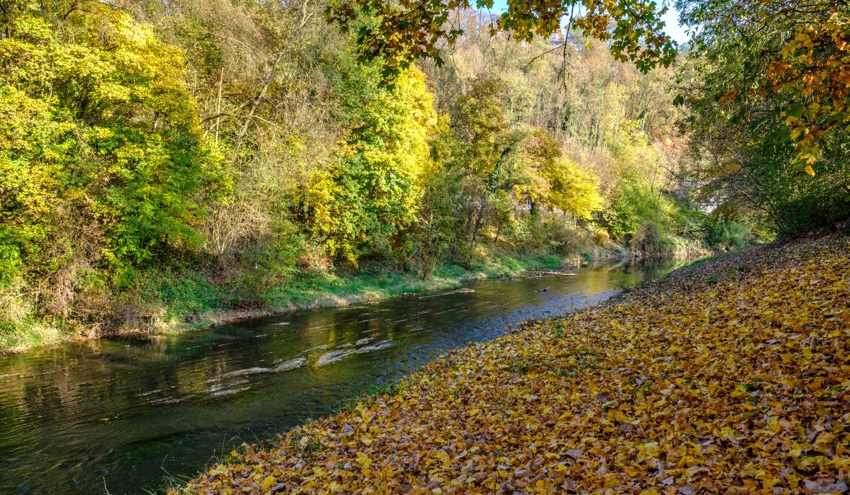 Rems im Herbstlaub, © WTM GmbH Waiblingen