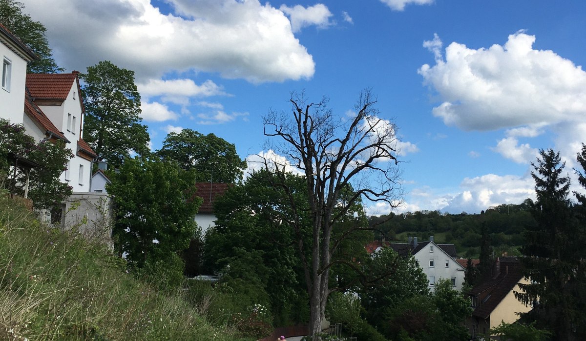 Glücklichtweg am Zeiselberg, © Touristik und Marketing GmbH Schwäbisch Gmünd