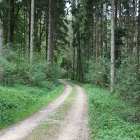 Durch den Schaubenwald, © Touristik und Marketing GmbH Schwäbisch Gmünd