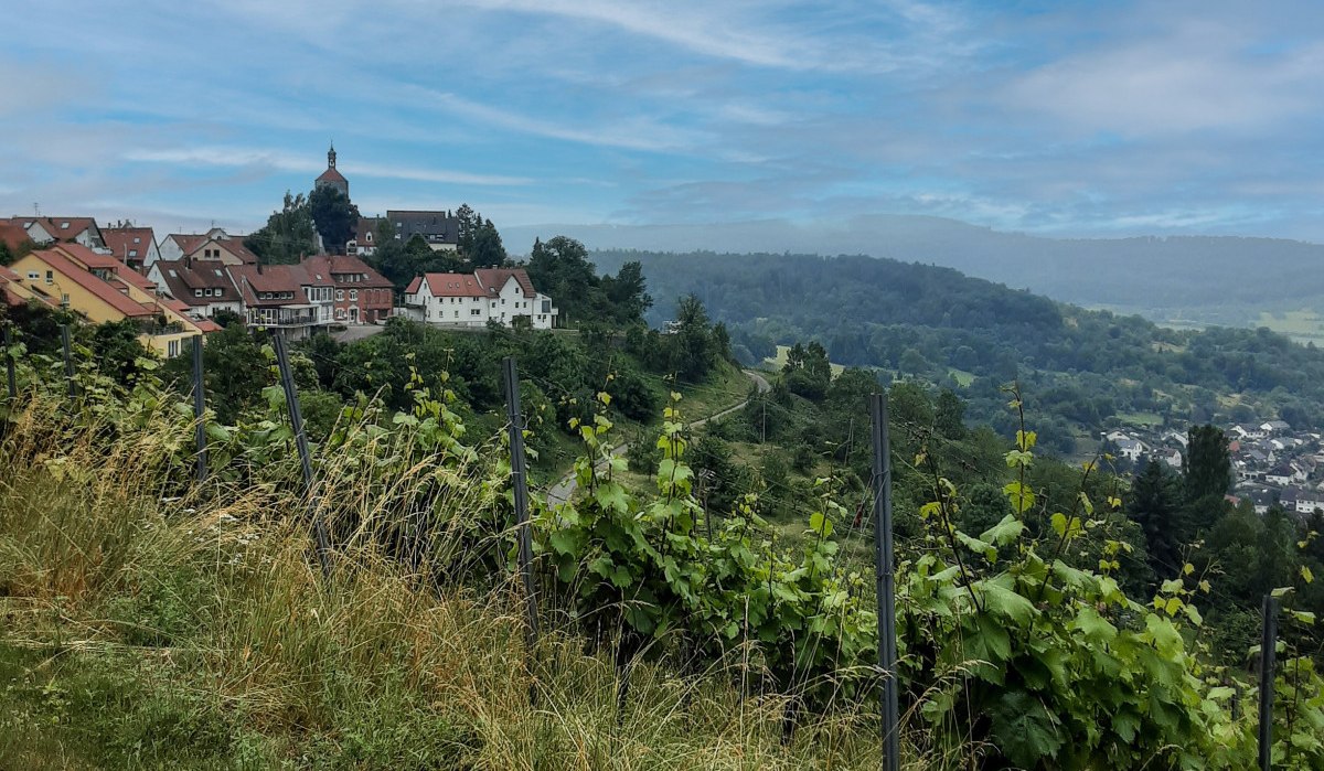 Blick auf Winnenden Bürg, © Remstal Tourismus e.V.