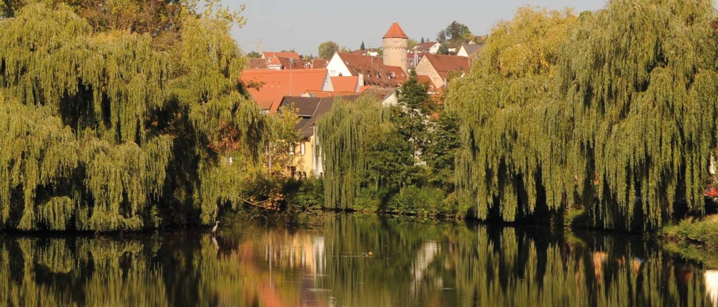 Enzufer-Blick auf den Haspelturm, © Stadt Vaihingen an der Enz