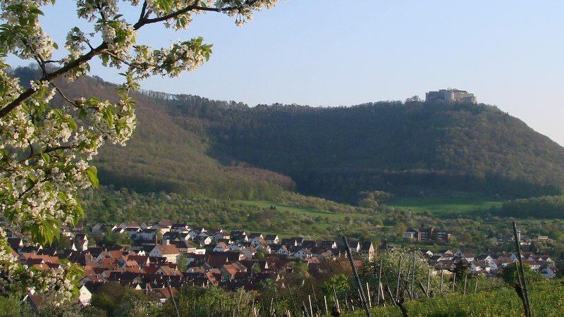 Premiumspazierwanderweg entlang des Spitzenbergs bei Beuren, © Stuttgart-Marketing GmbH