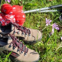 Wandern an frischer Luft - das macht glücklich!, © EST