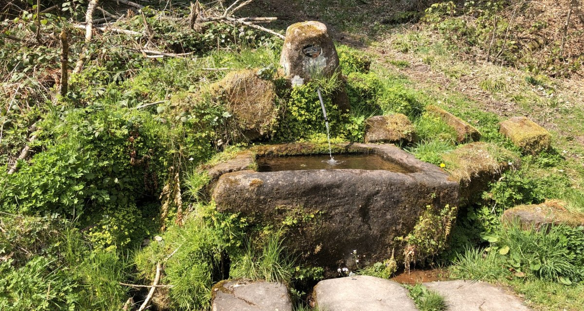 Brunnen am Weg, © Nördlicher Schwarzwald