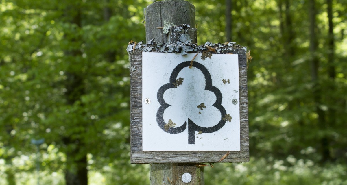 Beschilderung Arboretum Haslach, © Natur.Nah. Schönbuch & Heckengäu