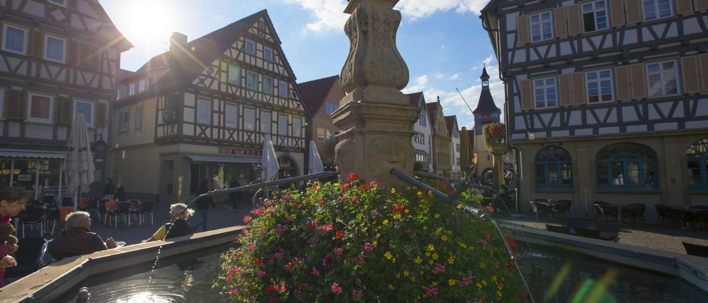 Winnenden Marktbrunnen, © SMG, Achim Mende