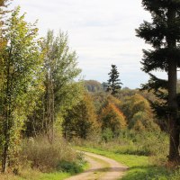 Der Feldweg führt in den Wald, © Bad Urach Tourismus