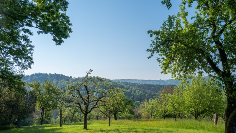 Aussicht am Neun Ränkles Weg, © Remstal Tourismus e.V.