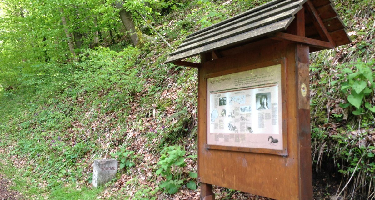 Auf dem Rulamanweg stehen viele Infotafeln, © Bad Urach Tourismus