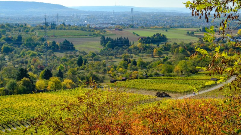 Ausblick vom Sörenberg, © WTM GmbH Waiblingen