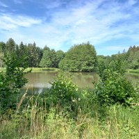 Haspelsee mit Uferlandschaft in Gaildorf Rundwanderweg 6