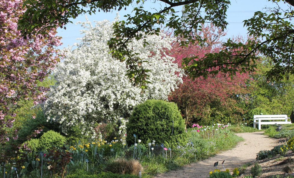 Lehr- und Versuchsgarten Braike "Garten Eden" Nürtingen, © HFWU