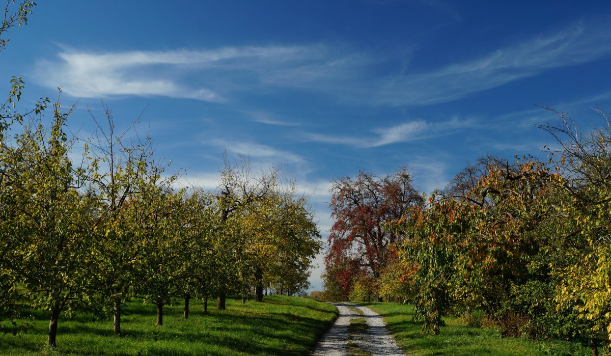 Schöne Pfade, © Natur.Nah. Schönbuch & Heckengäu