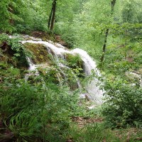 Der Neidlinger Wasserfall, © Wikipedia / Zeitblom1