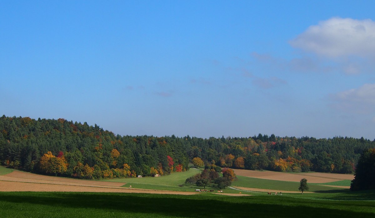 das Hülsental, © Natur.Nah. Schönbuch & Heckengäu