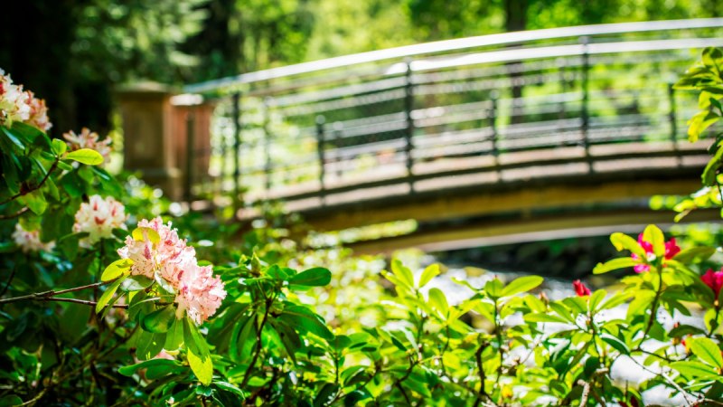 Kurpark Brücke, © Nördlicher Schwarzwald