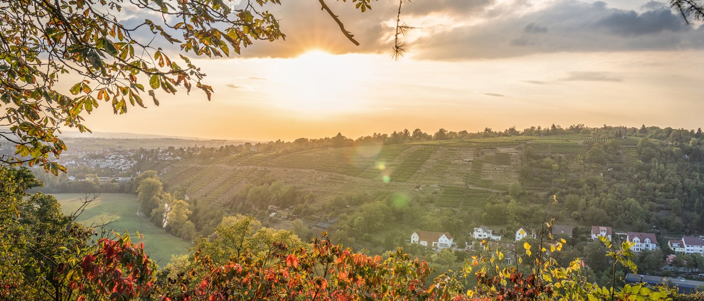 Bietigheimer Bergweg, © SMG, Martina Denker