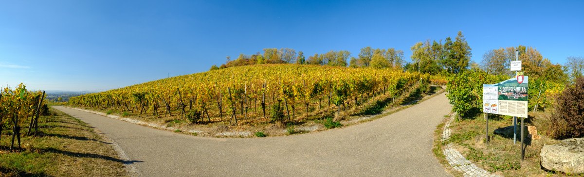 Panoramabild am Sörenberg, © WTM GmbH Waiblingen