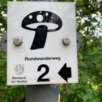 Wanderweg Pilz