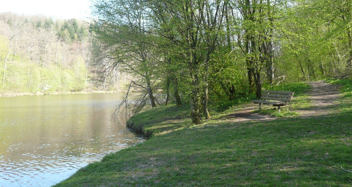 Blick auf den Sulzbach-Stausee, © Natur.Nah. Schönbuch & Heckengäu