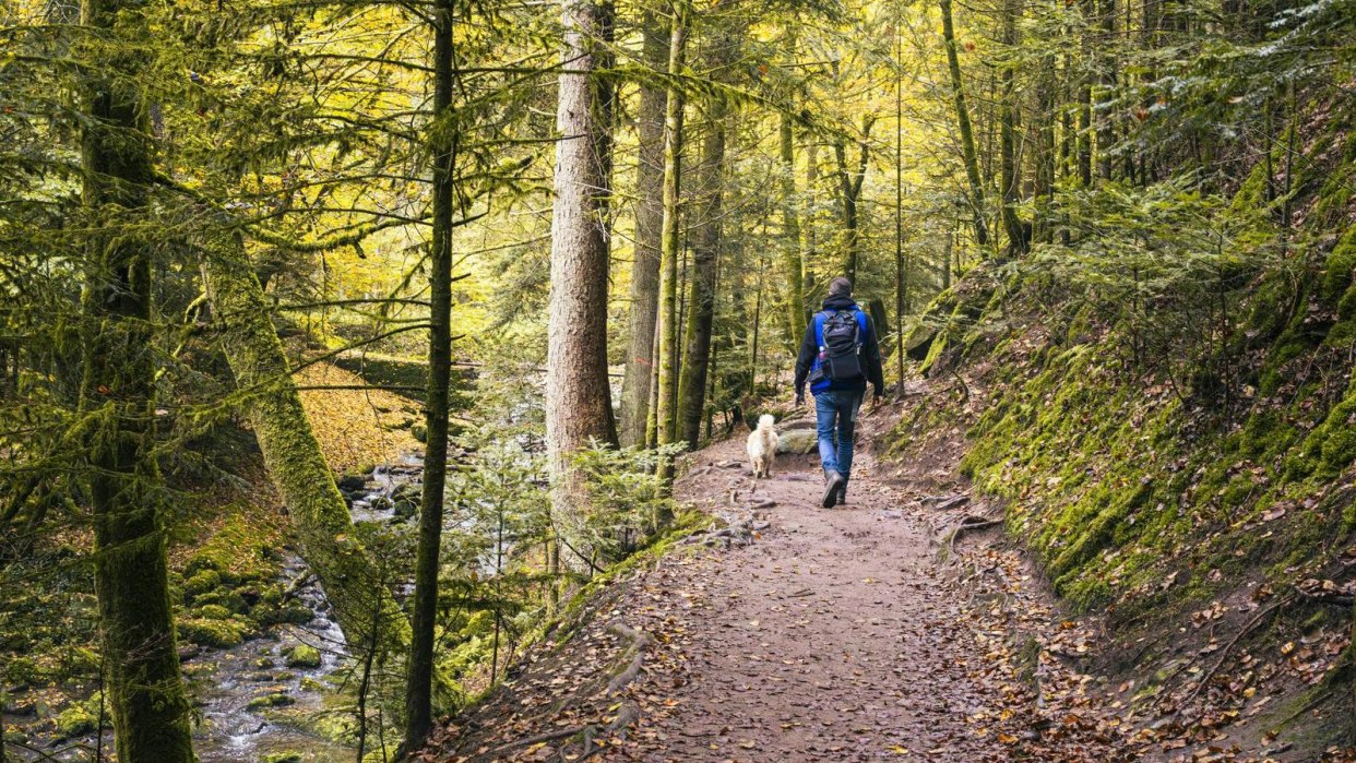 Monbachtal, Bad Liebenzell, © SMG, Sarah Schmid