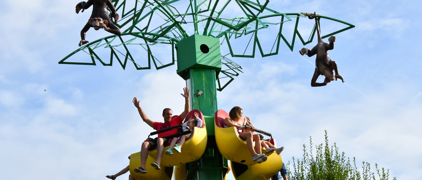 Verrückte Palme, © Schwaben Park