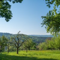 Aussicht am Neun Ränkles Weg, © Remstal Tourismus e.V.