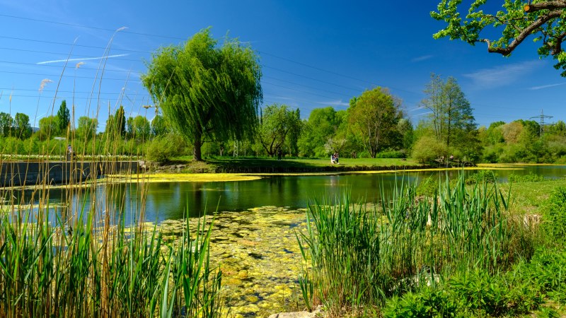 Talausee, © WTM GmbH Waiblingen