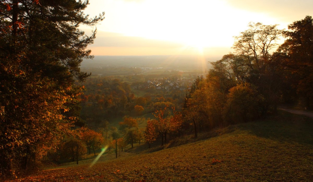 Impressionen LandTour SchönbuchTrauf, © Natur.Nah. Schönbuch & Heckengäu