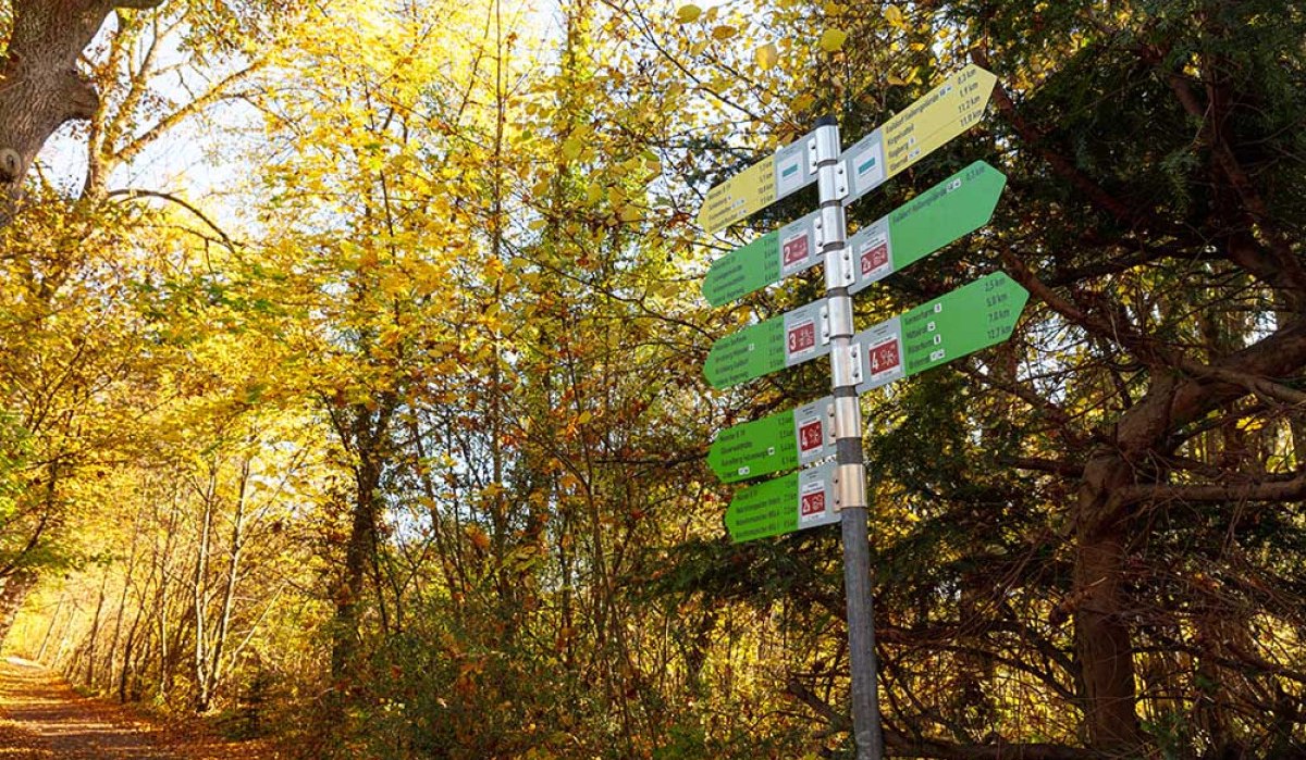 Symbolbild Hauptwegweiser im Herbst auf dem Gaildorfer Rundwanderweg