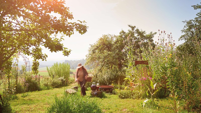 Schwäbischer Wald, © Stuttgart-Marketing GmbH