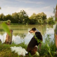 Seewaldseen, © Stadt Vaihingen an der Enz, Foto: Winkler