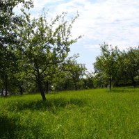 "Alte Halde" Natura 2000, © Naturfreunde Holzgerlingen/Altdorf