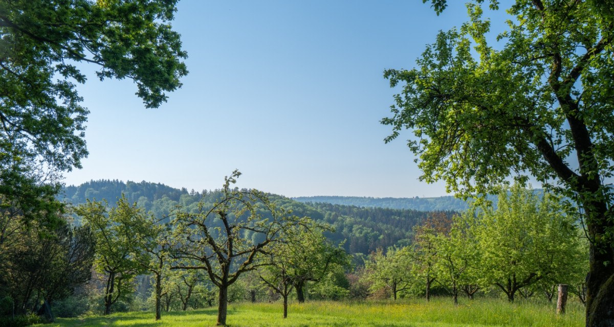 Aussicht am Neun Ränkles Weg, © Remstal Tourismus e.V.