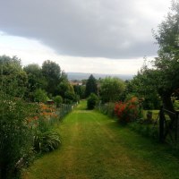 Weg vom Wald zum Stadtteil Stumpenhof