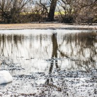 Am Eisweiher, © Tourenportal Schönbuch & Heckengäu