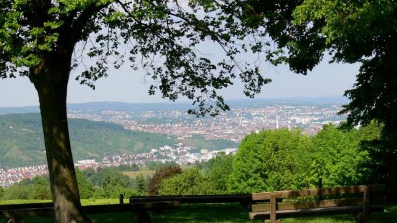 Aussicht bei der Esslinger Katharinenlinde auf das Neckartal, © Esslinger Stadtmarketing & Tourismus GmbH