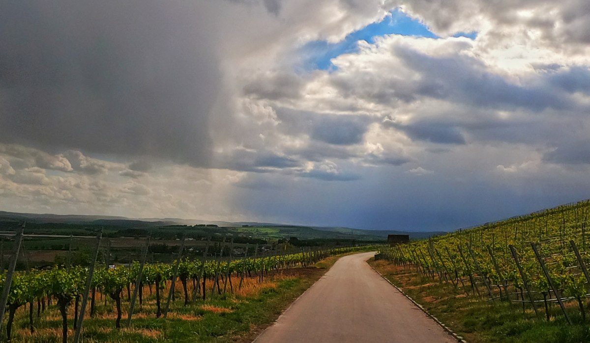 © Land der 1000 Hügel - Kraichgau-Stromberg