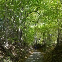 Gaildorf chillt am Gaildorfer Kirchberg