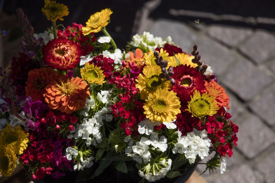 Blumen auf Markt, © SMG, A. Mende