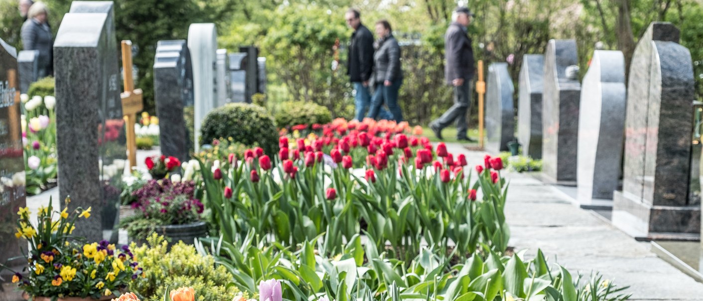 Gönninger Tulpenblüte, © StaRT - Stadtmarketing und Tourismus Reutlingen GmbH